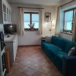 Tortoi