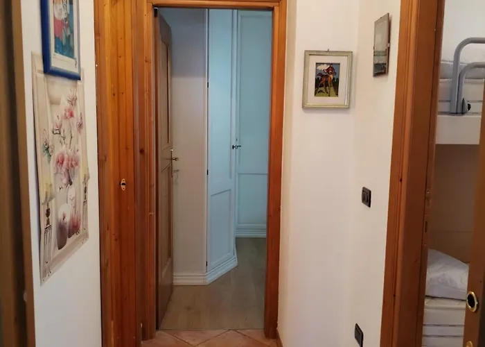 Tortoi